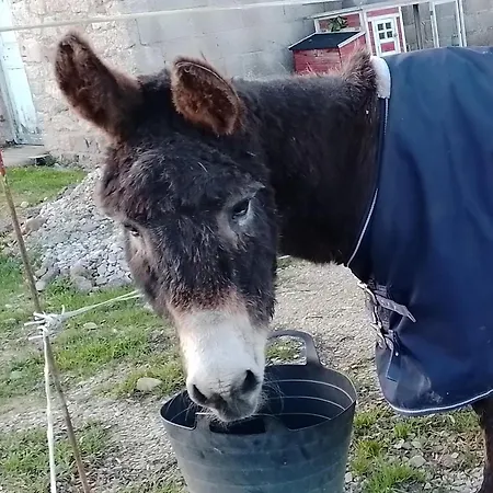 Сasa de vacaciones Chez Mat's & Lou Rocheville