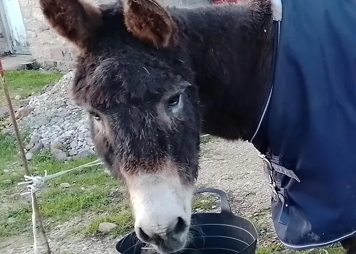 Сasa de vacaciones Chez Mat's & Lou Rocheville